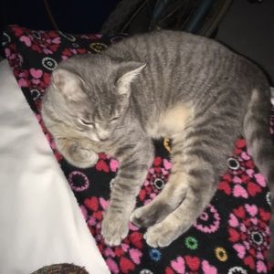 Meet your Posher, Jan